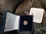 CRYSTAL SWAROVSKI PIN MAGEN DAVID EXCLUSIVE 