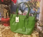 Green bag