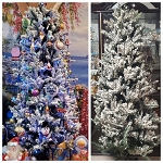 Balsam *** Flaked Christmas Tree 6.5 Feet.