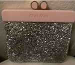 Miu Miu Sequins wallet Pouch Pochette cosmetic bag handbag